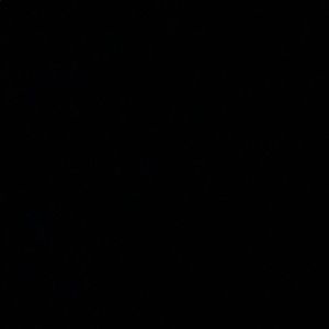 Meet your Posher, Cody